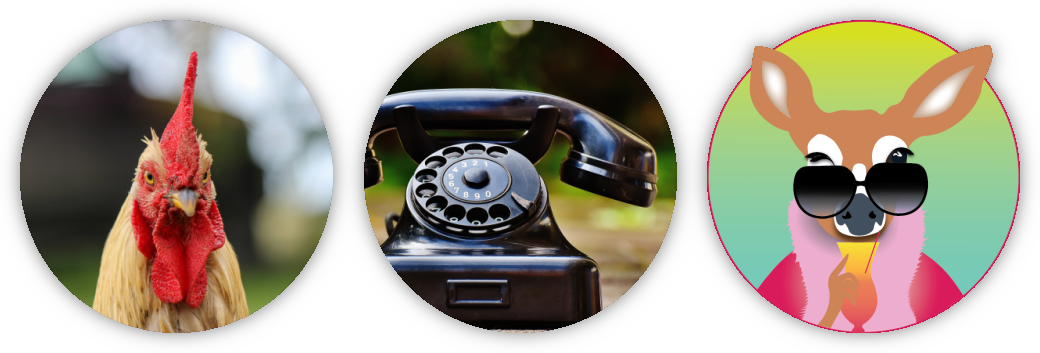 Trois images : un coq, un téléphone et le logo Sex on the Biche
